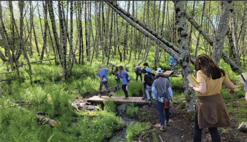Students exploring outside